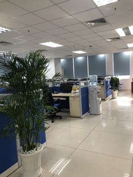 Phòng làm việc khang trang, sạch sẽ. Có nhiều mảng xanh